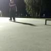 stealthbadgers